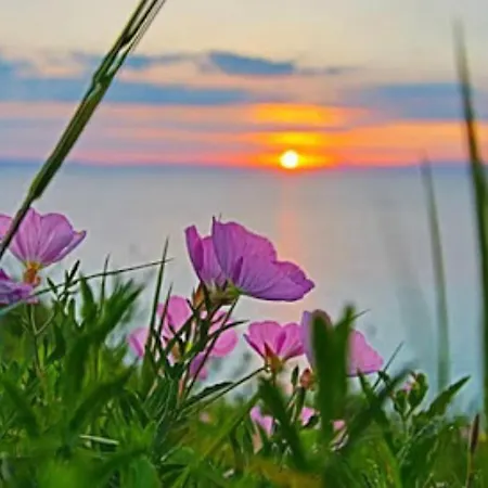 Aegean Blue Horizon Афитос