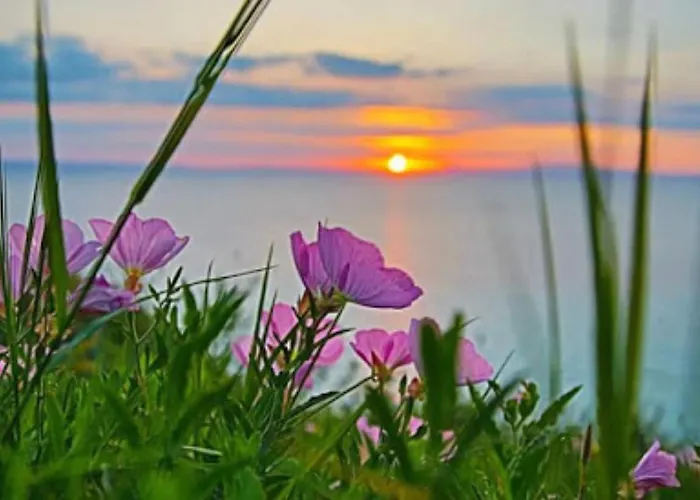 Aegean Blue Horizon Afytos