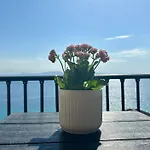 Aegean Blue Horizon 4* Афитос