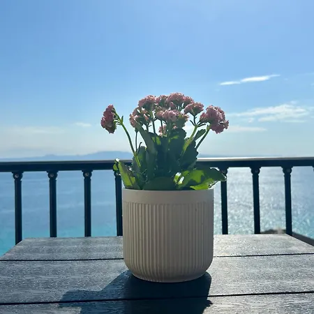 Aegean Blue Horizon 4* Afytos